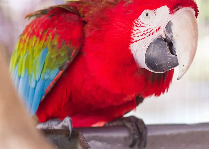 Park Club Europe Station touristique